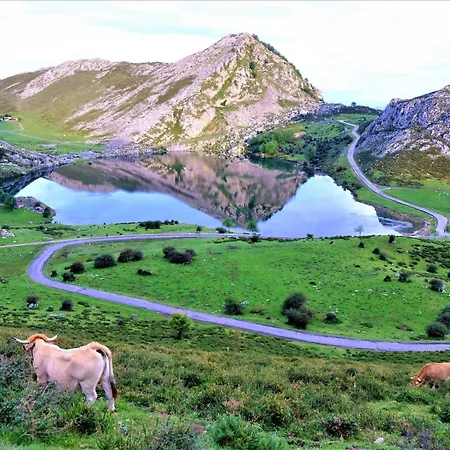 El Rinconin Llanes
